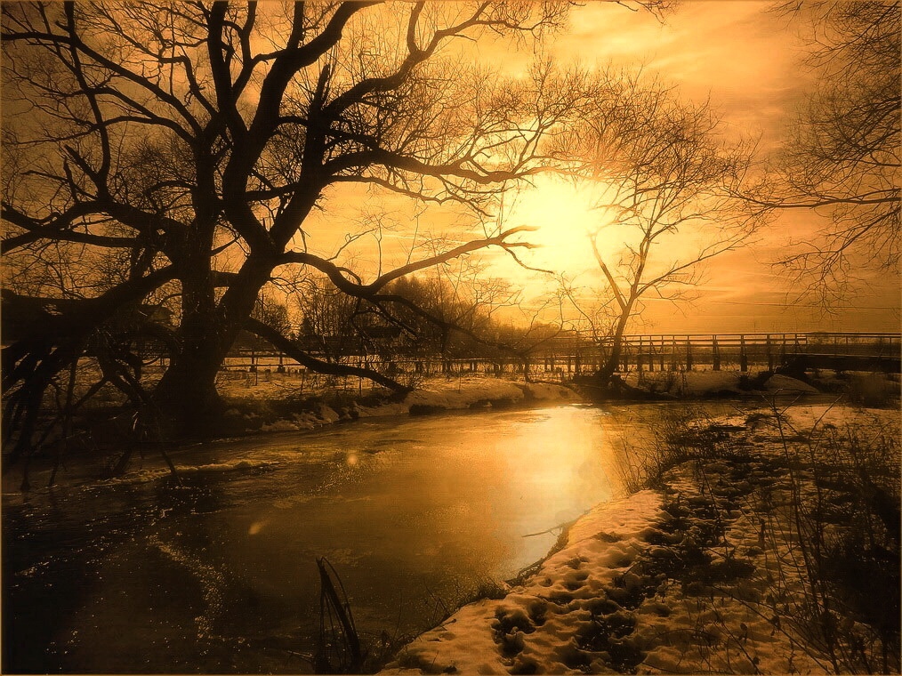 У зимней реки | Фотограф Диана Буглак-Диковицкая | foto.by фото.бай