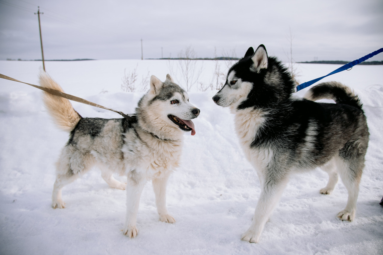 Фотограф в Минске - семейный, свадебный, репортажный фотограф. Фотосъёмка крещения, дня рождения, юбилея, венчания, корпоратива в Минске., фотография от 18.02.2026