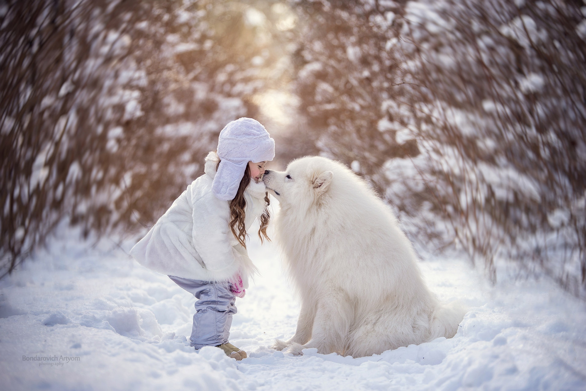 Девочка с собакой из лайка. Зимняя фотосессия с самоедами. Зимняя фотосессия с животными. Фотосессия с самоедом. Ребенок с собакой зимой.