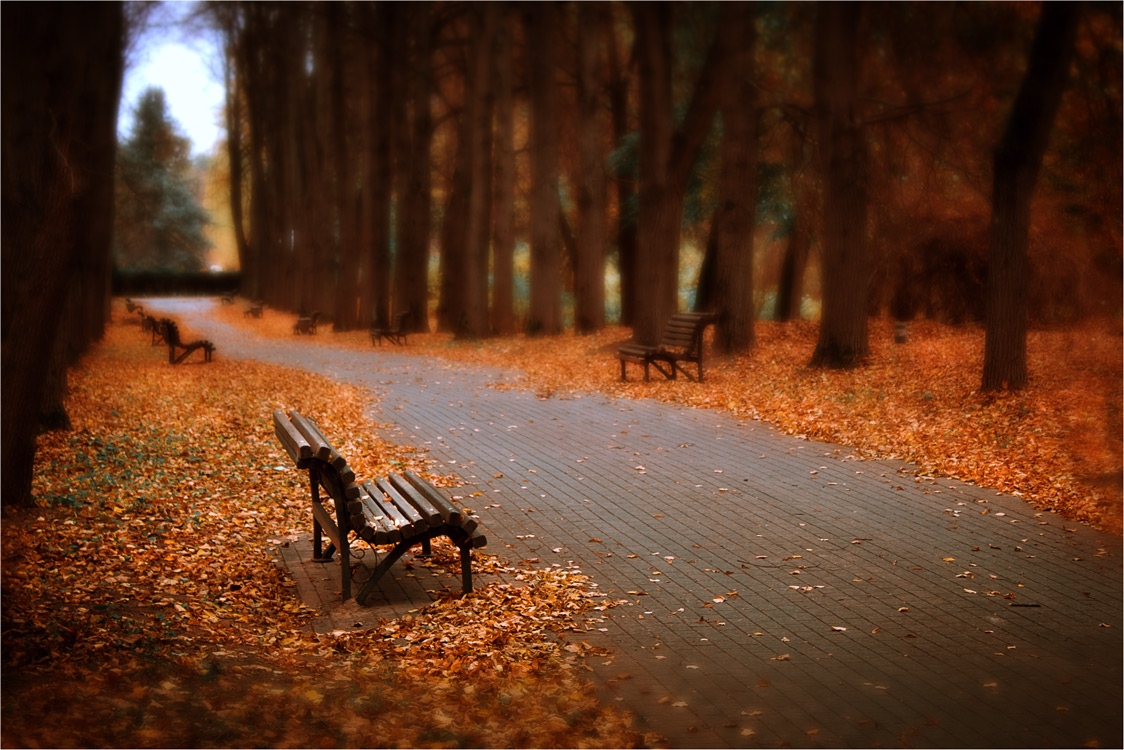 Осень | Фотограф Александр Войтко | foto.by фото.бай