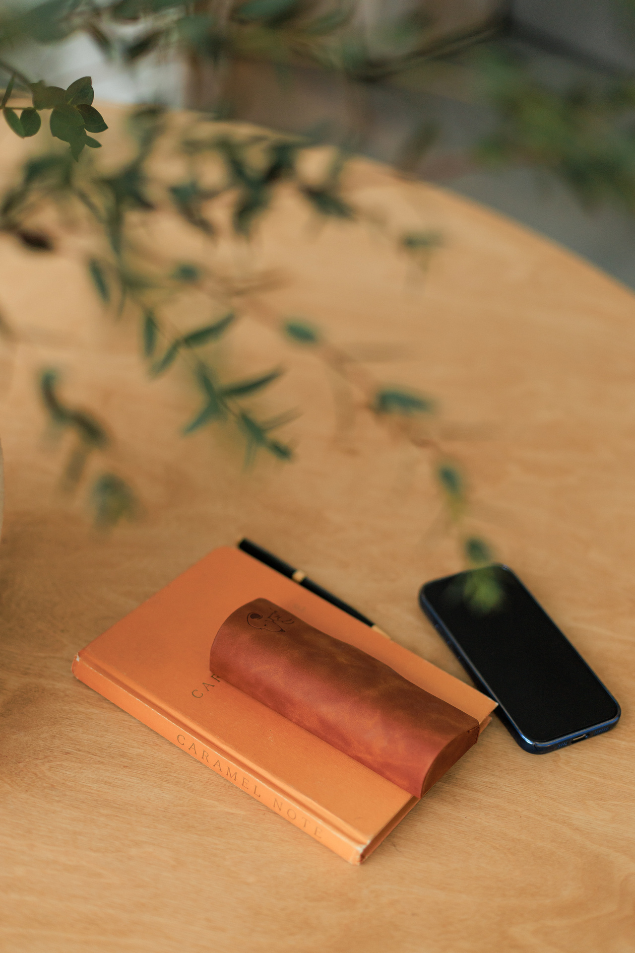 Фотограф Михаил и Елизавета Лукашевич, фотография от 26.02.2026