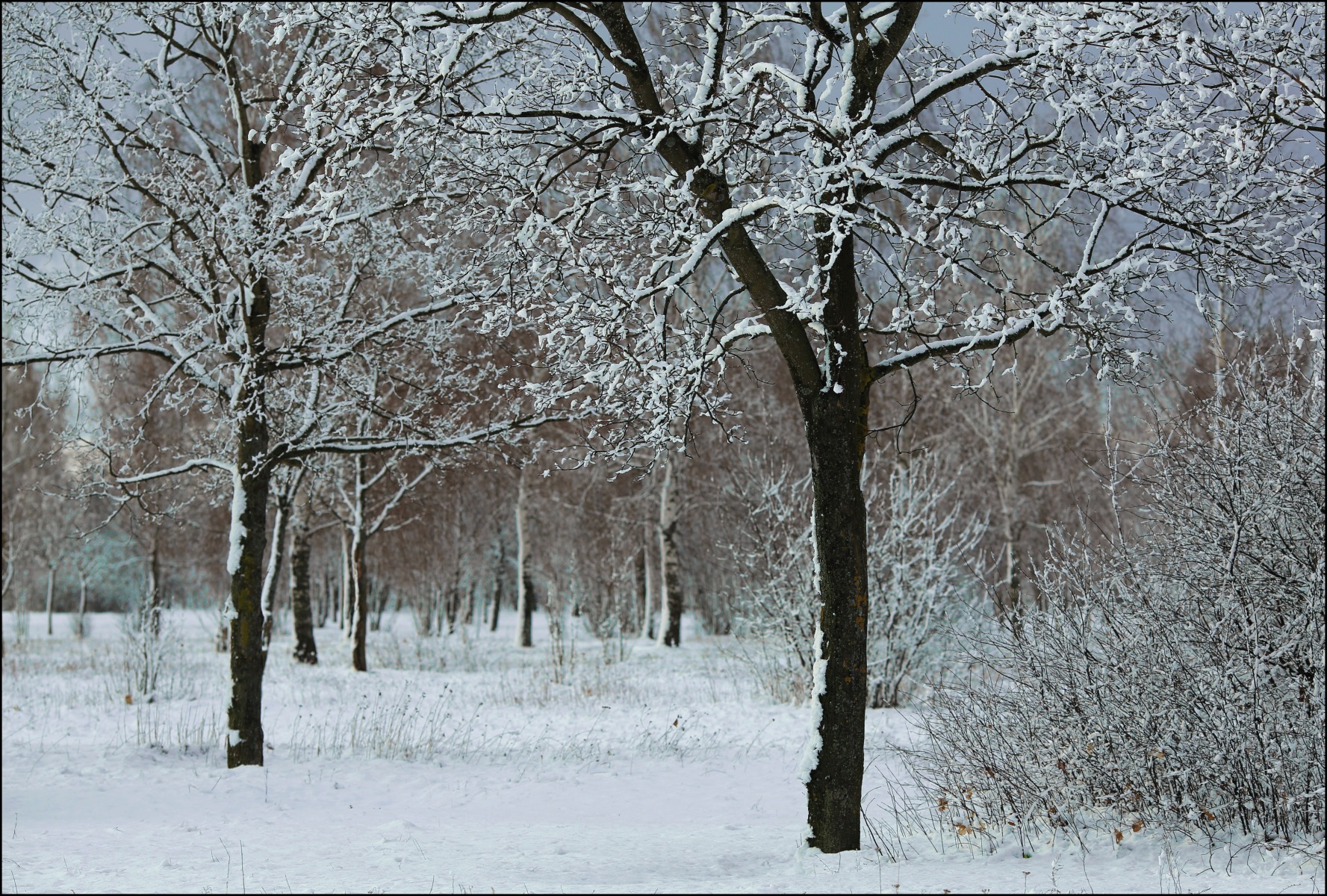 Зимы прощальный привет | Фотограф Александр Задёрко | foto.by фото.бай