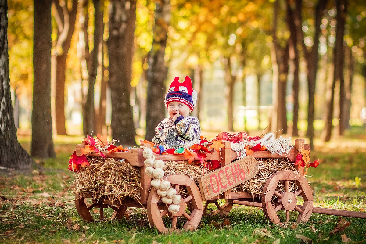 Фотограф Юлия Зубкова, фотография от 24.11.2015