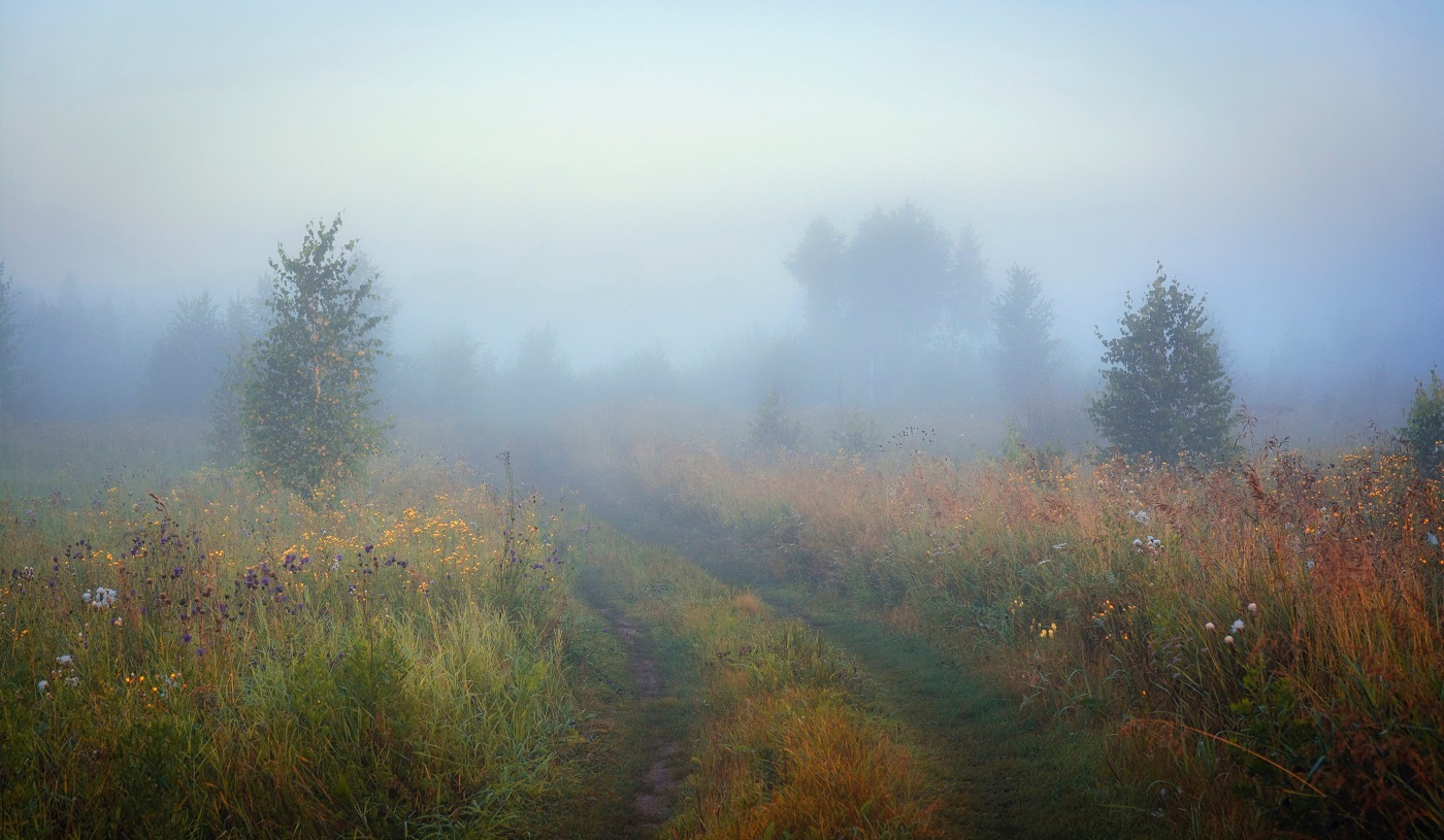 В туман. | Фотограф Mihail | foto.by фото.бай