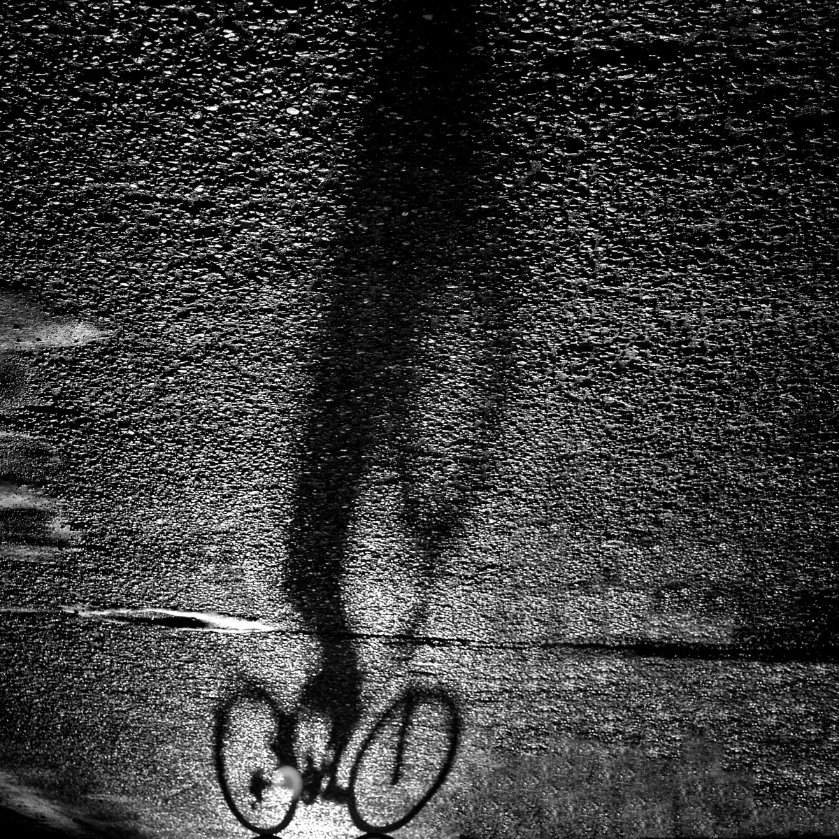 Bicycle | Фотограф Иван Виткоин | foto.by фото.бай