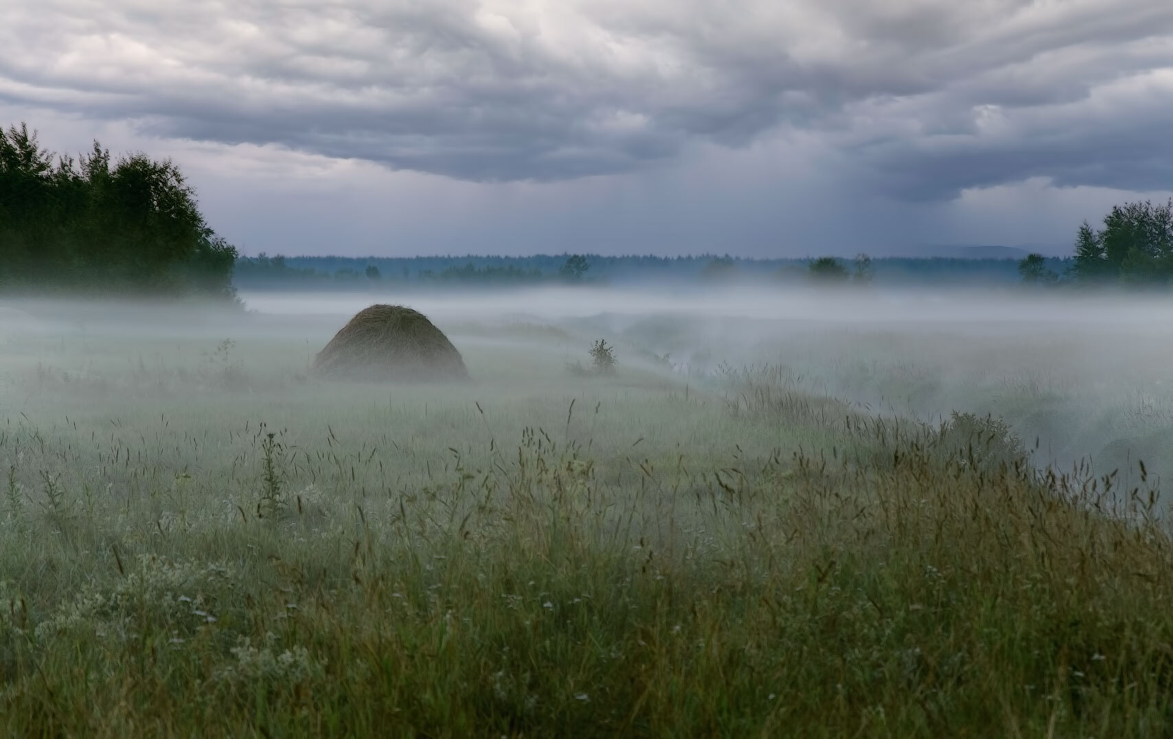 Снова хмурое утро | foto.by фото.бай