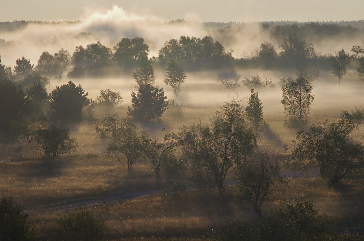 Разгоняло солнце туманы.. | Фотограф Сергей Шляга | foto.by фото.бай