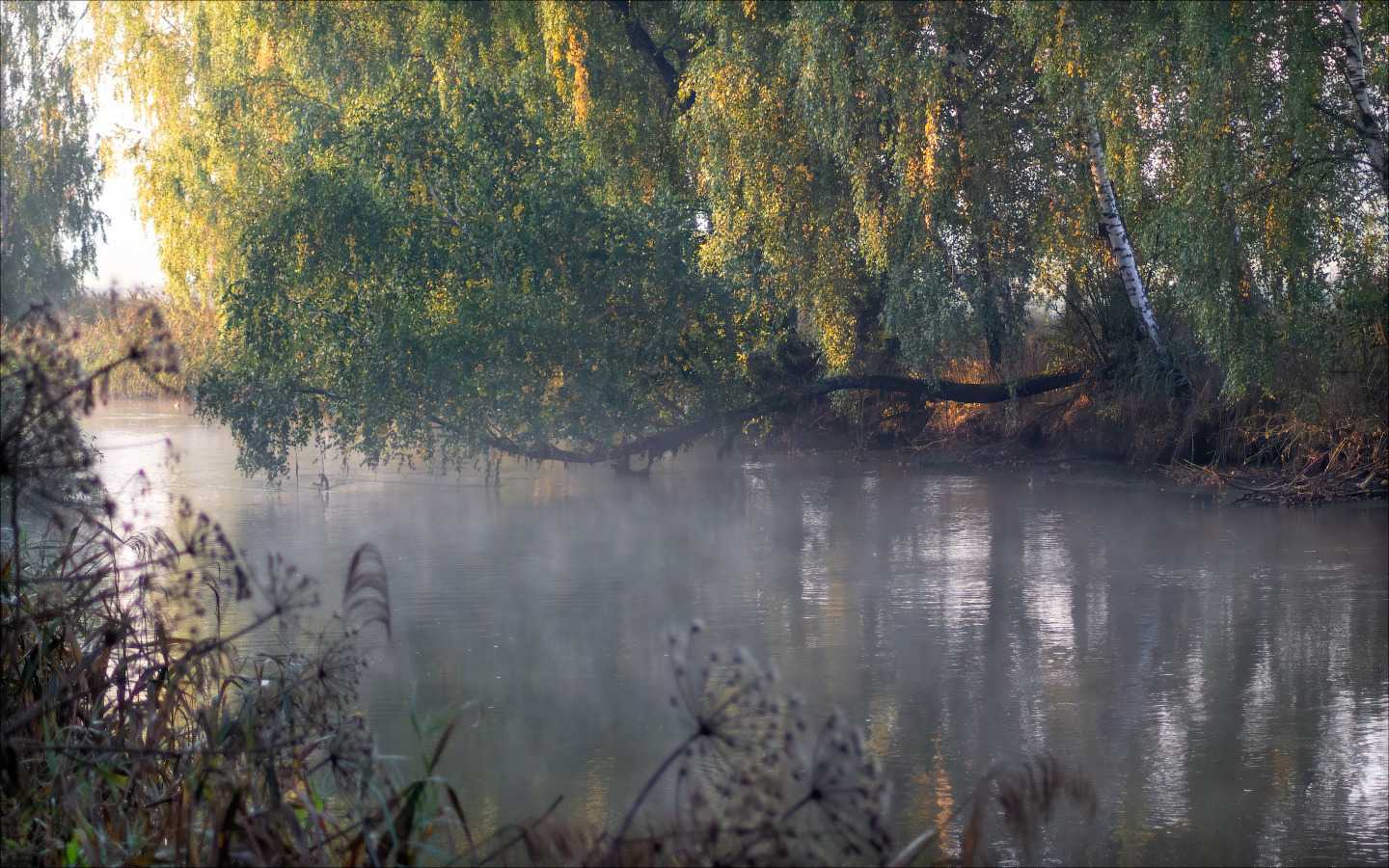 Утро на реке | Фотограф Сергей Шабуневич | foto.by фото.бай