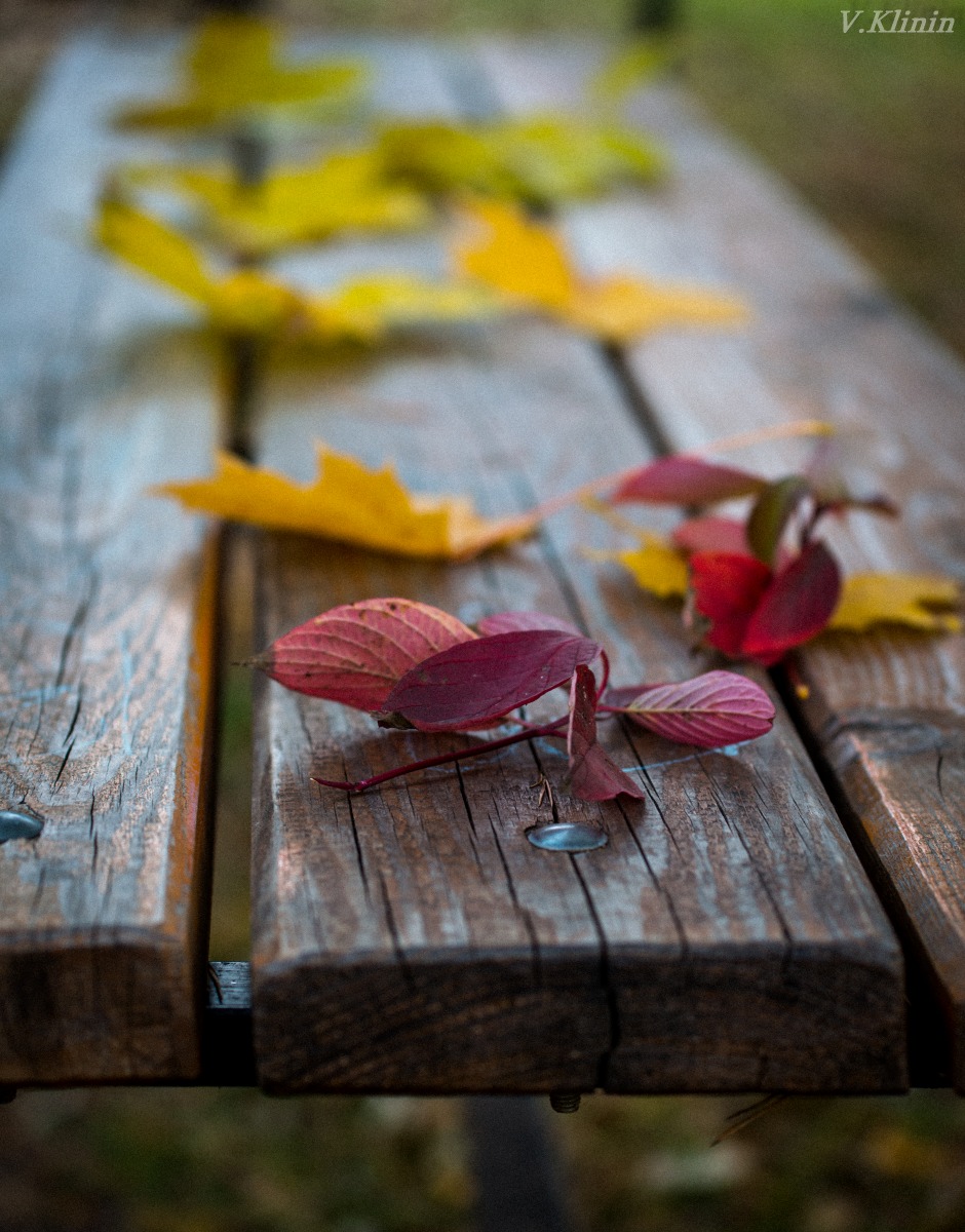 Осень-осень.... | Фотограф Валерий Клинин | foto.by фото.бай