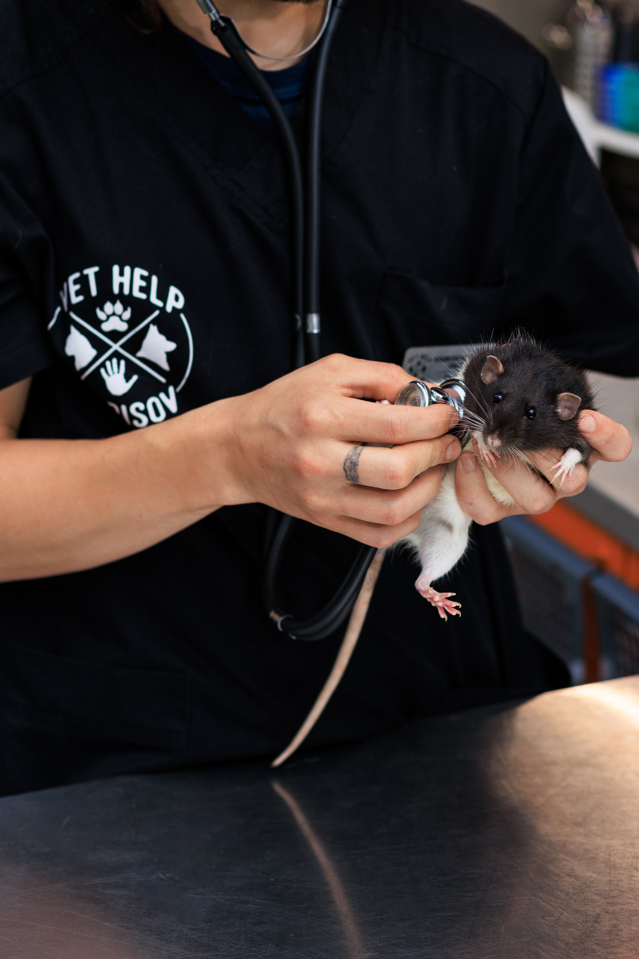 Фотограф Михаил и Елизавета Лукашевич, фотография от 16.01.2026