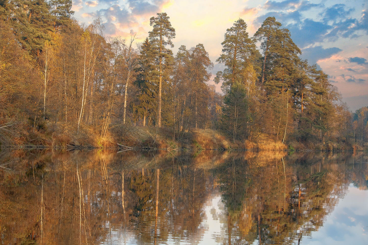 В лучах заката | Фотограф Владимир Ковалёв | foto.by фото.бай