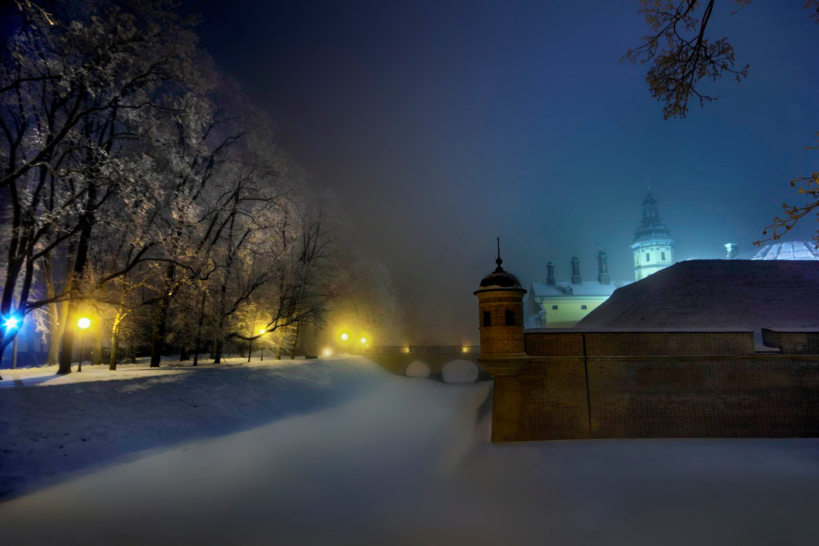 Туманный Альбион над замком в Несвиже | Фотограф Сергей Мельник | foto.by фото.бай