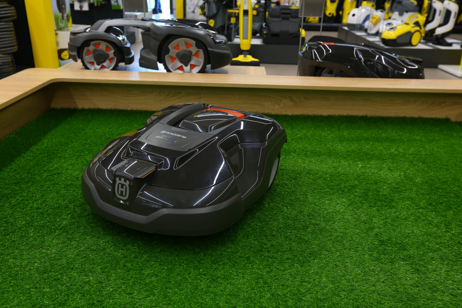 Фотограф Борис Карасик, фотография от 02.08.2020