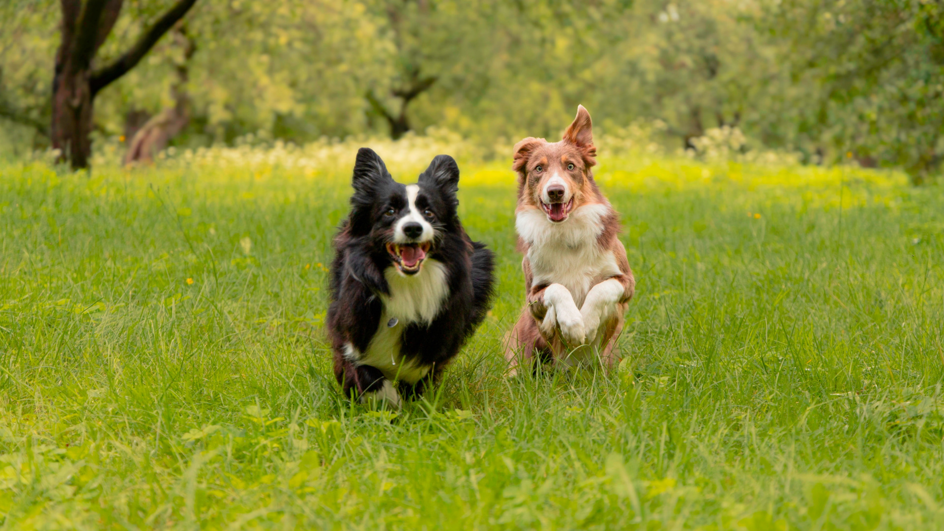 Фотограф Ульяна Третьякович, фотография от 08.10.2025