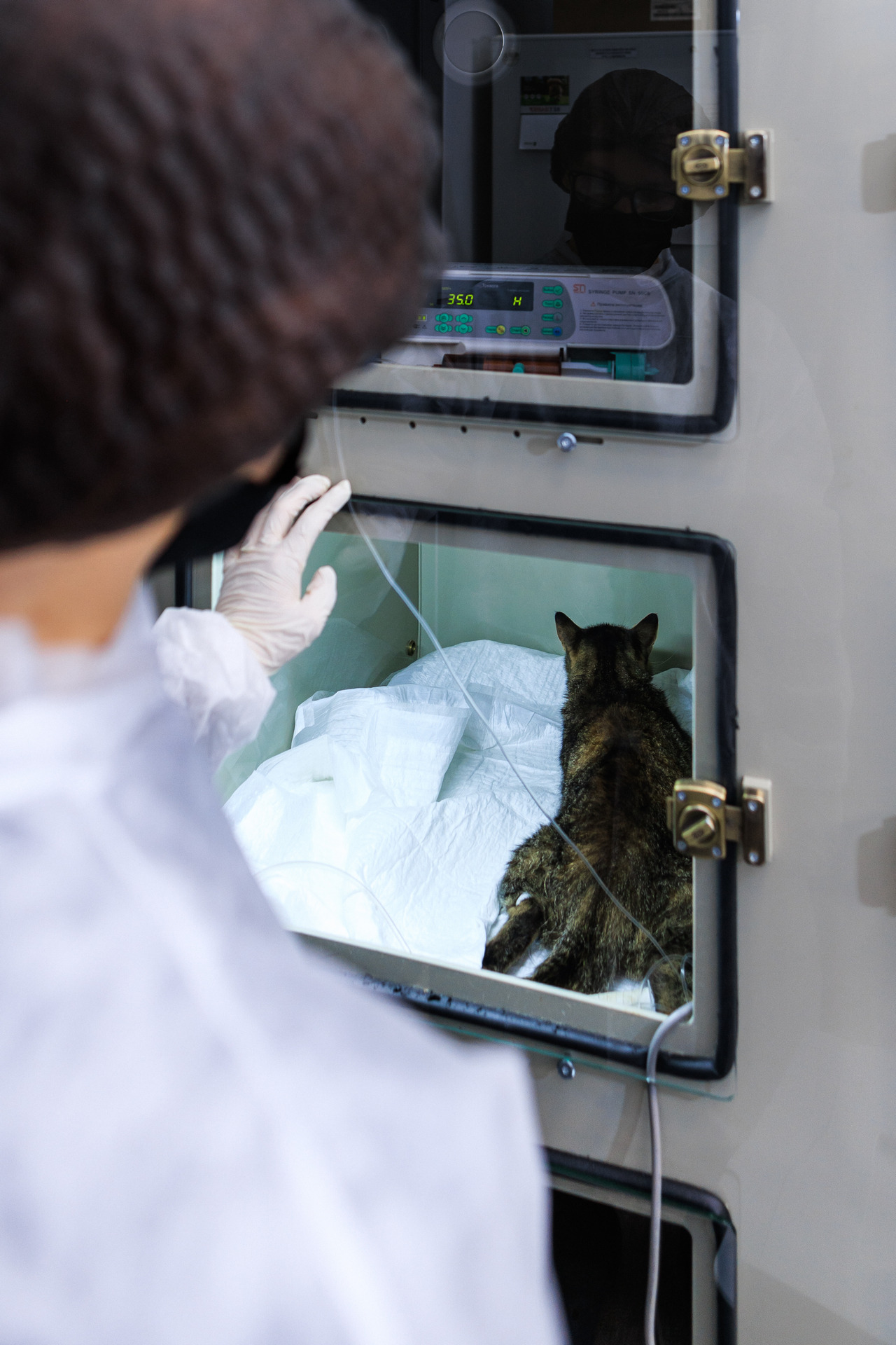 Фотограф Михаил и Елизавета Лукашевич, фотография от 16.01.2026