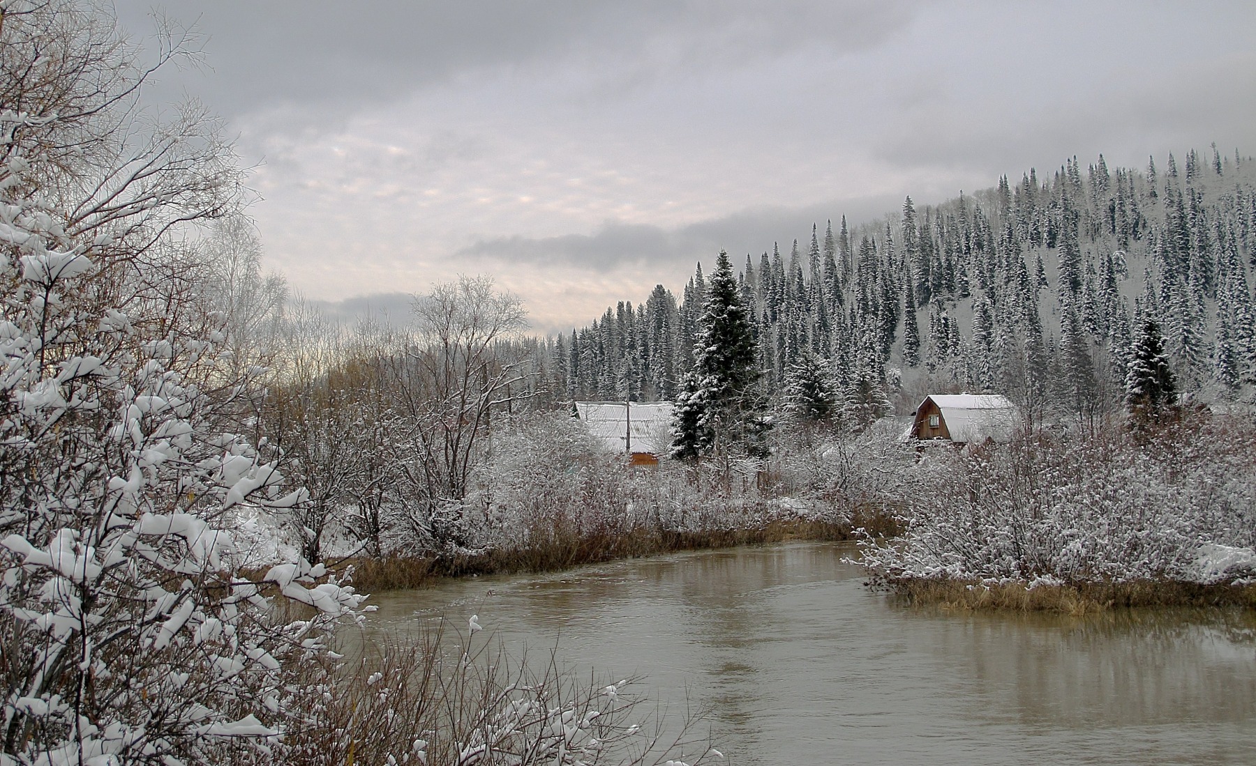 В тайгу пришла зима | Фотограф Nina379Cever | foto.by фото.бай