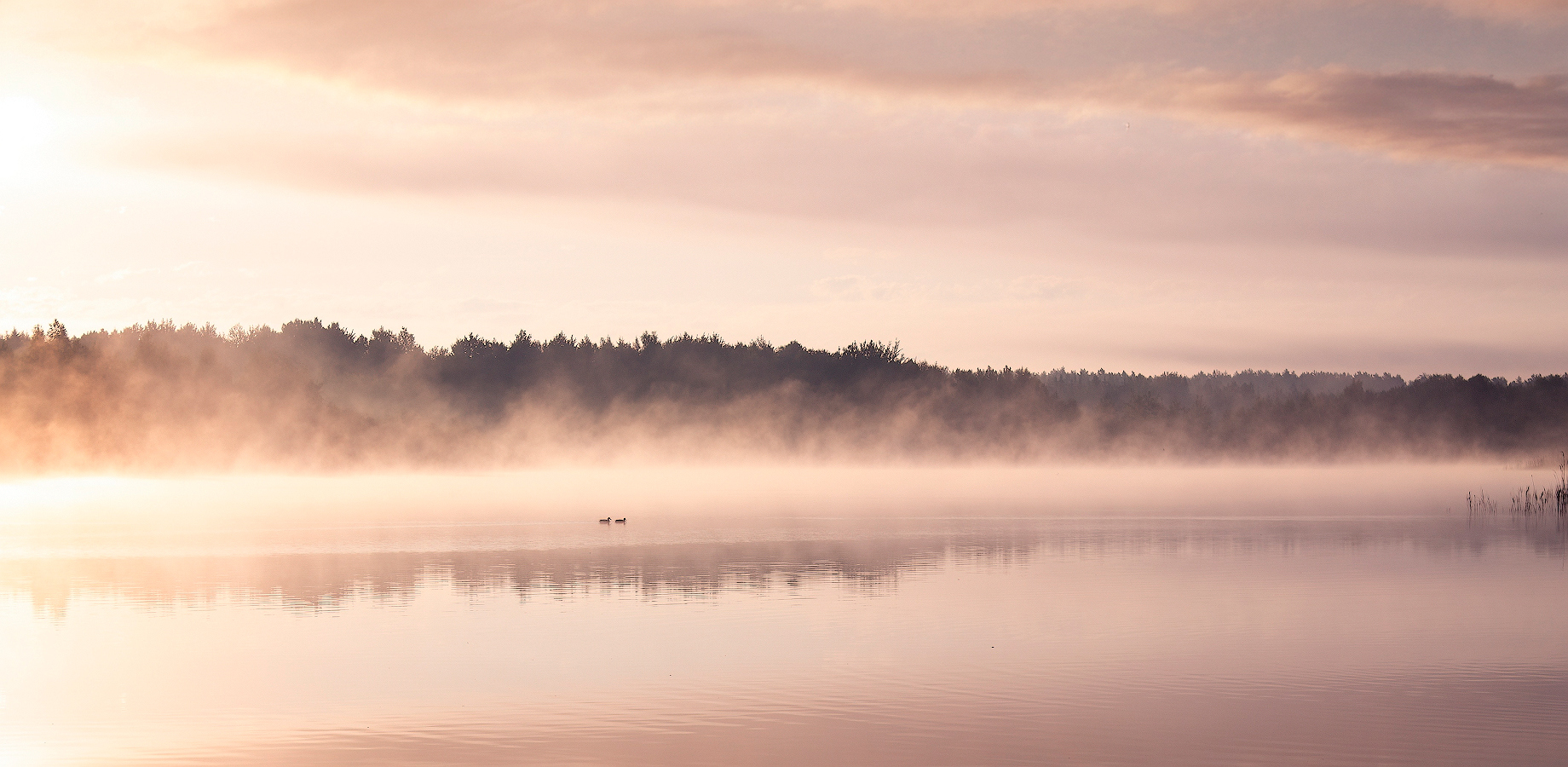 Дымка над водой | foto.by фото.бай