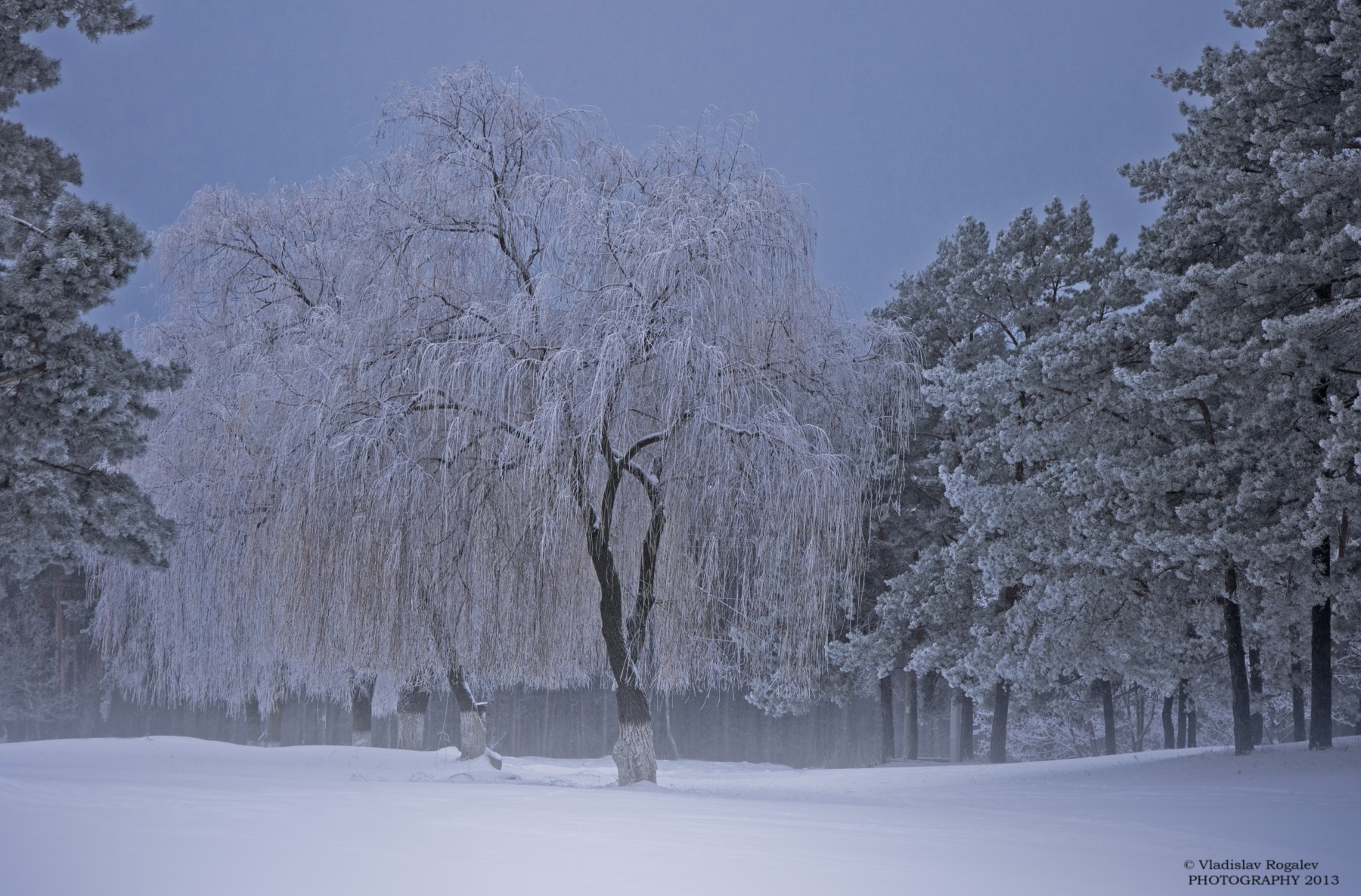 зимний вечер на городской окраине | Фотограф Владислав Рогалев | foto.by фото.бай