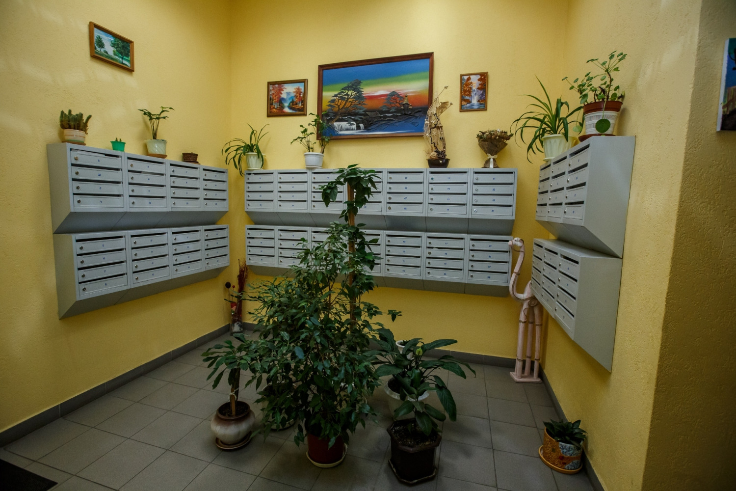 Фотограф Борис Карасик, фотография от 19.11.2019