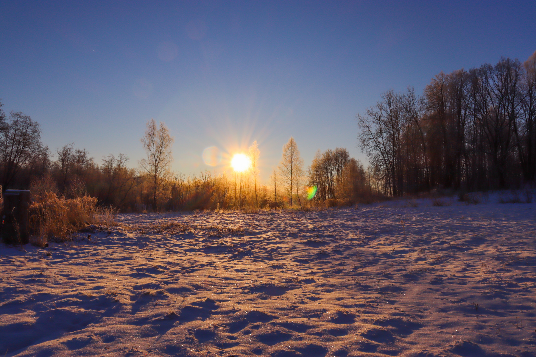 Зимний морозный рассвет. | Фотограф Екатерина Осипович | foto.by фото.бай