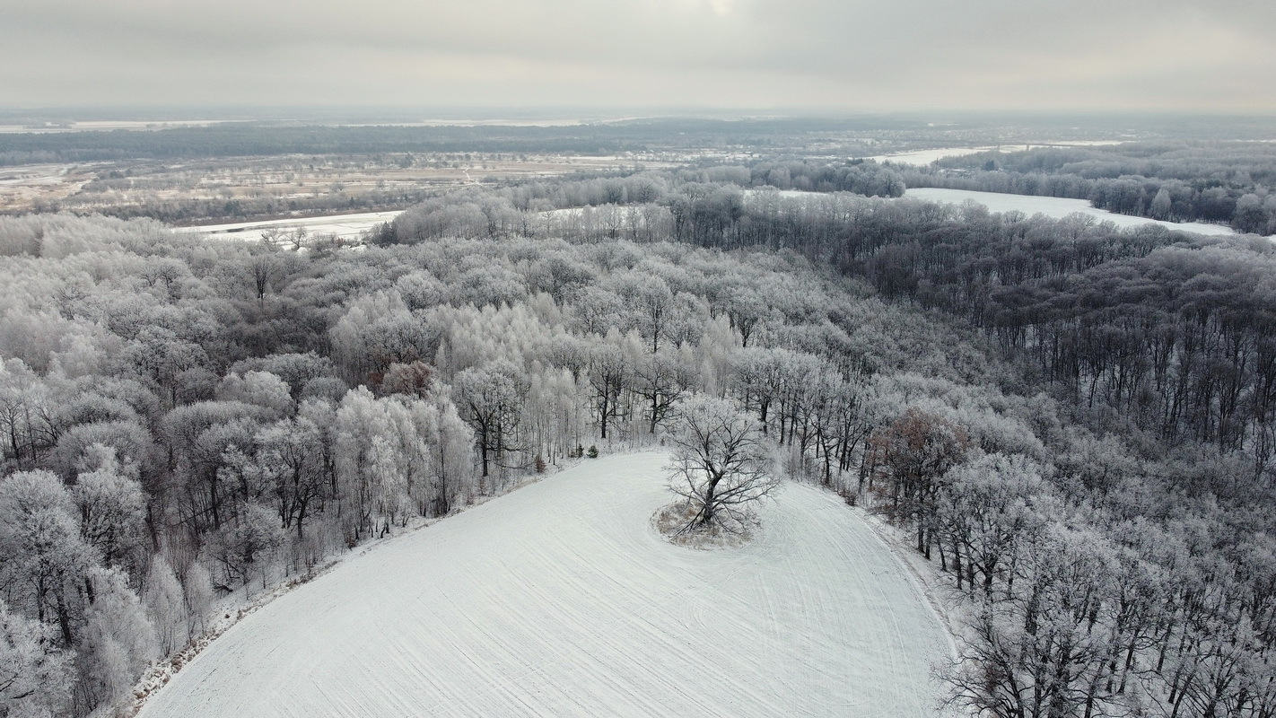 Зимний пейзаж | Фотограф Сергей Шляга | foto.by фото.бай