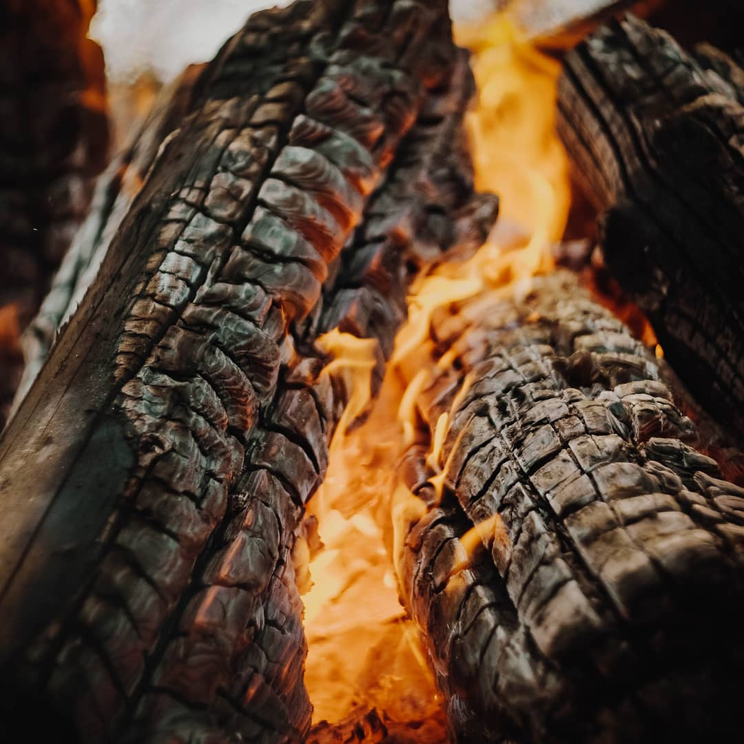 Burned wood | Фотограф Алексей Бадылевич | foto.by фото.бай