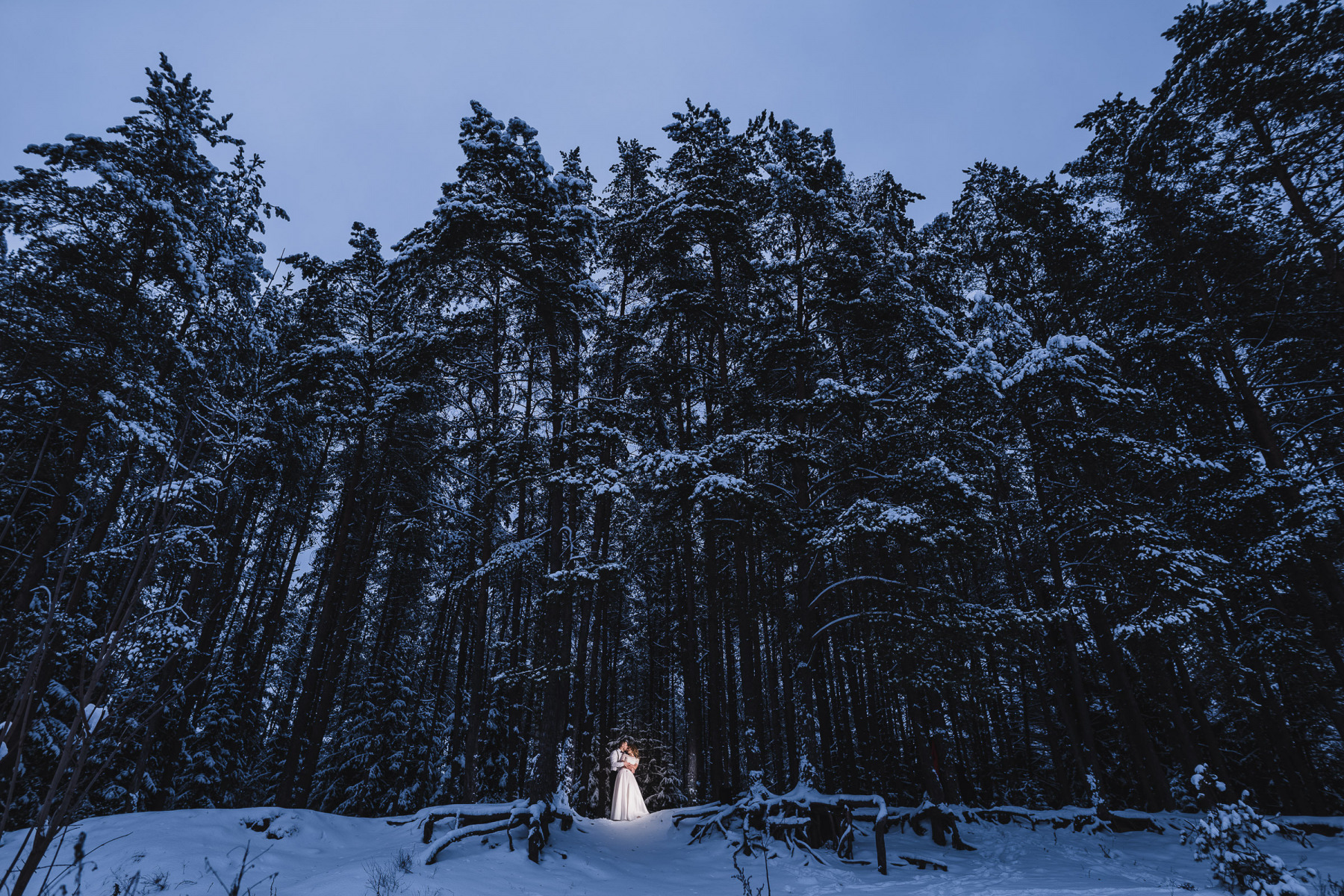 Зима, сосны | Фотограф Иван Зеленин | foto.by фото.бай