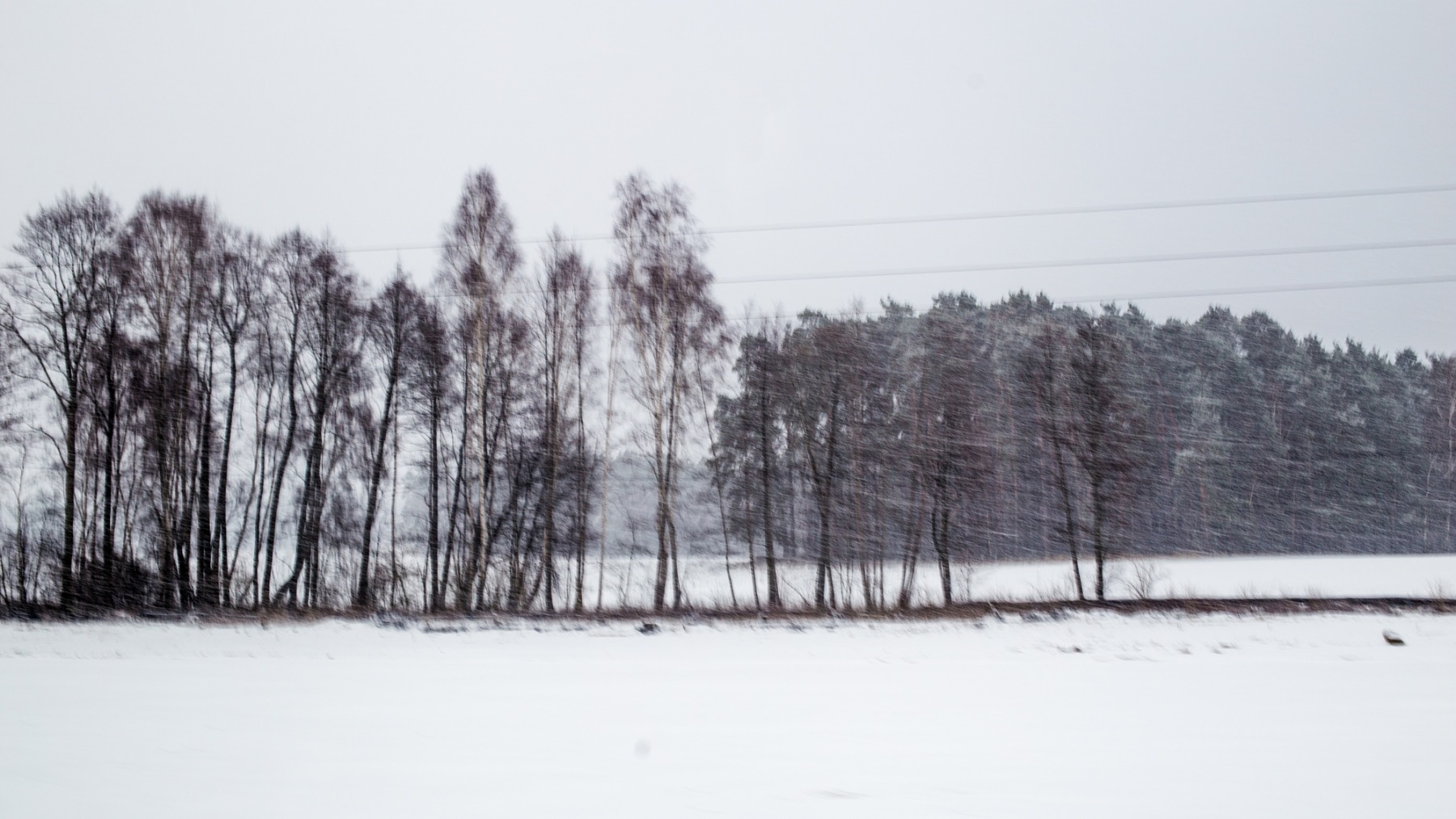 Рисунки зимы | Фотограф Владислав Волков | foto.by фото.бай