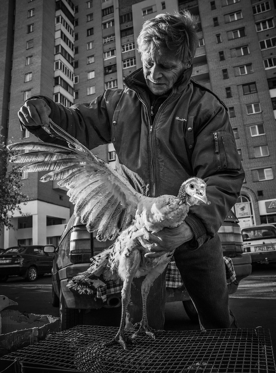 Продавец птиц | Фотограф Сергей Михайлов | foto.by фото.бай