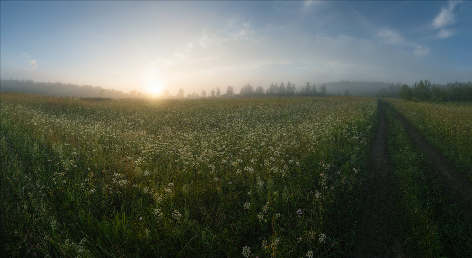 Рассвет в поле | Фотограф Олег Фролов | foto.by фото.бай