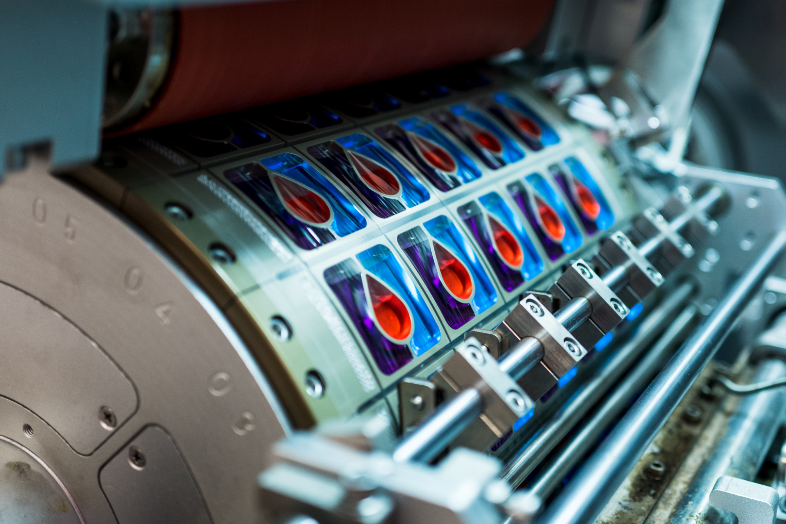 Фотограф Катерина Сиводедова, фотография от 16.04.2026