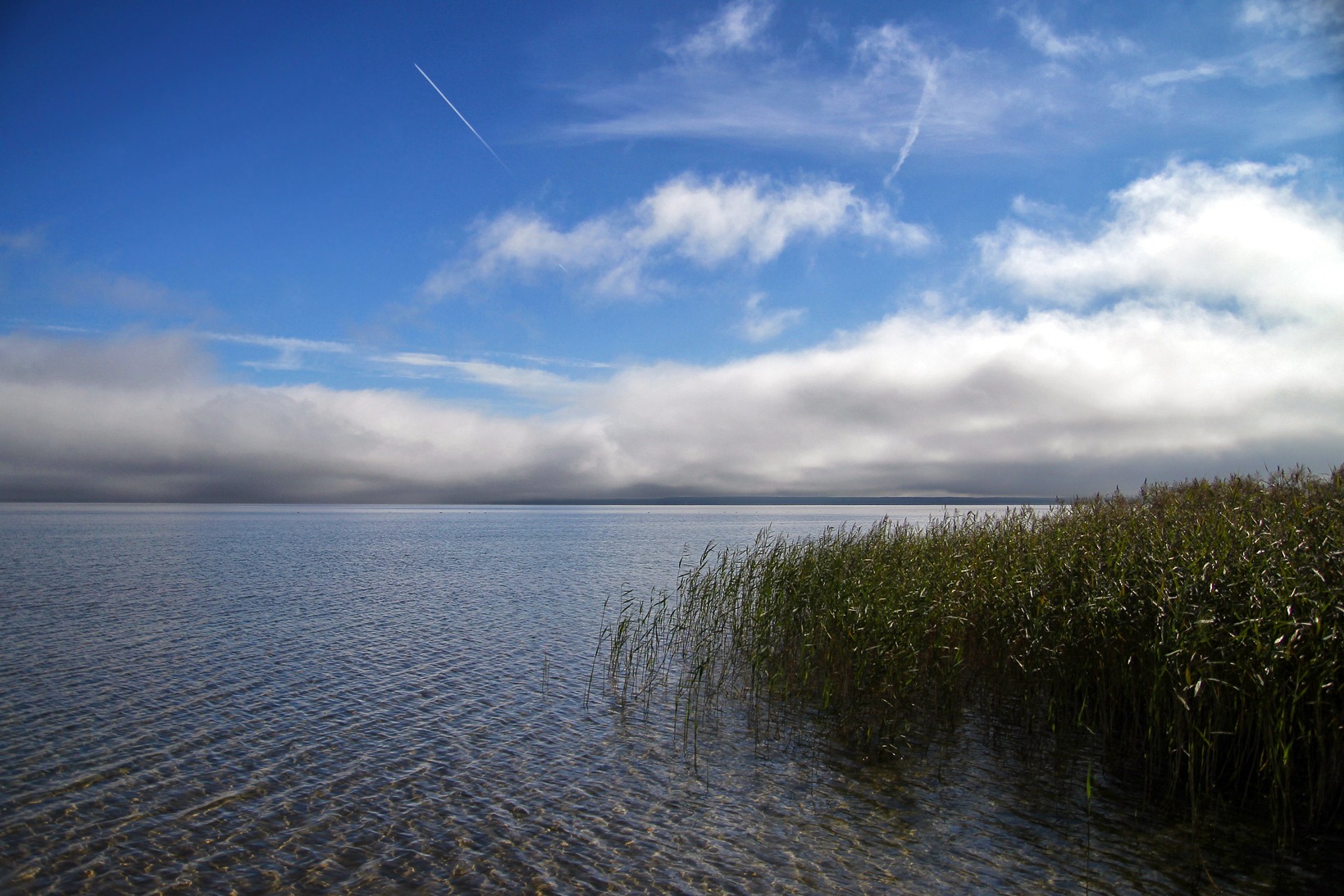 Туманность над озером | Фотограф Юлия Войнич | foto.by фото.бай