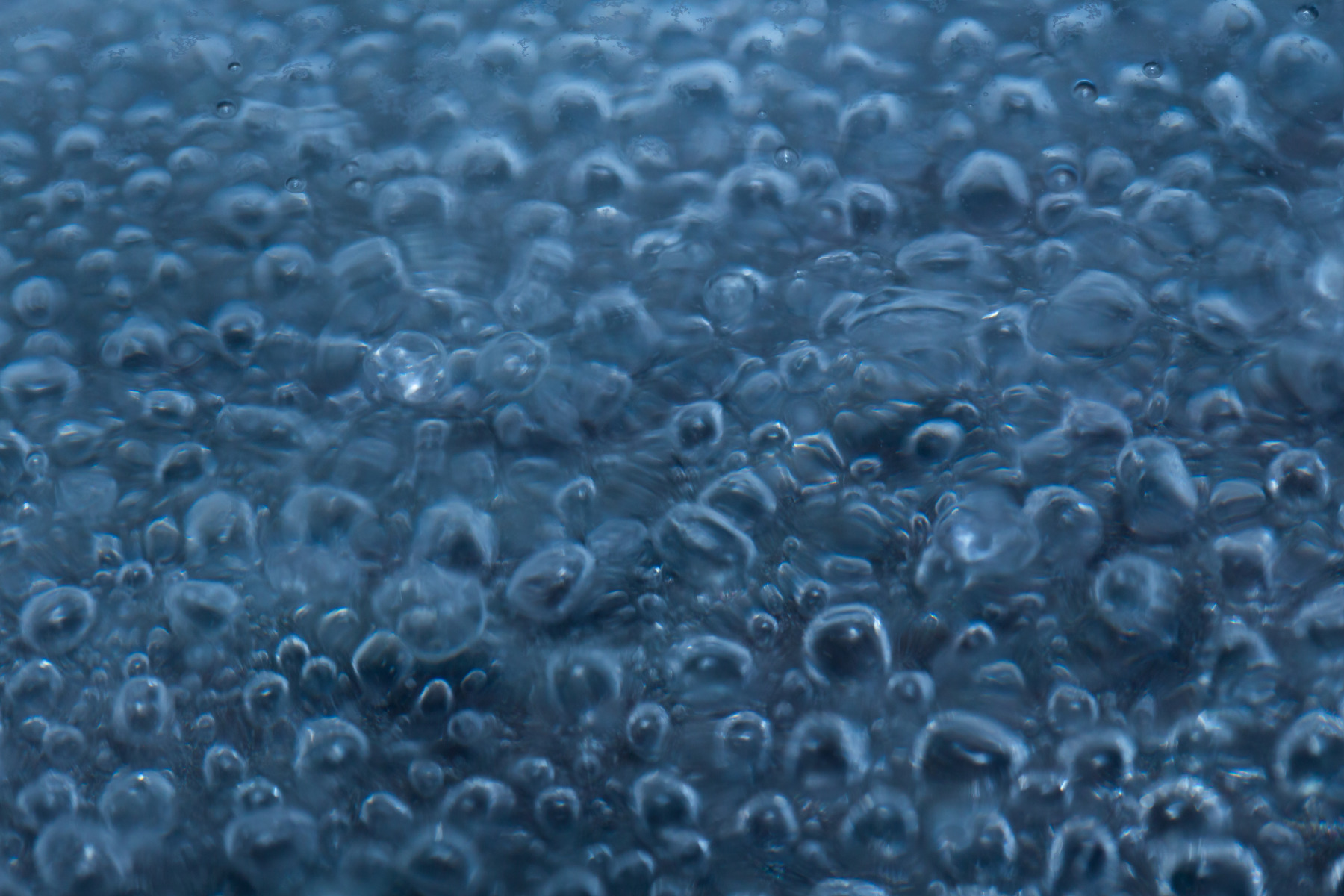 Пузырьки | Фотограф Андрей Шаповалов | foto.by фото.бай