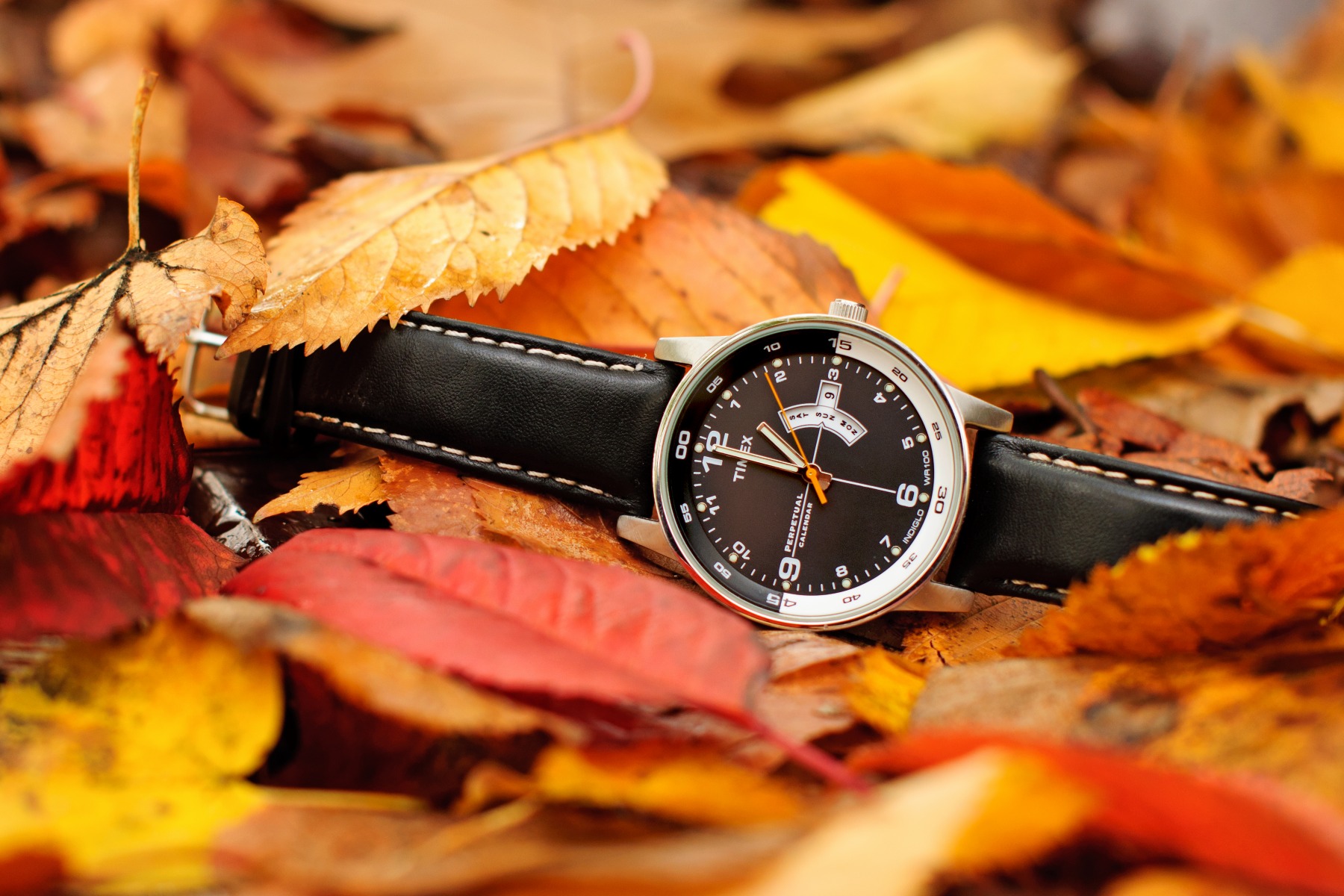 Часы в осенних листьях