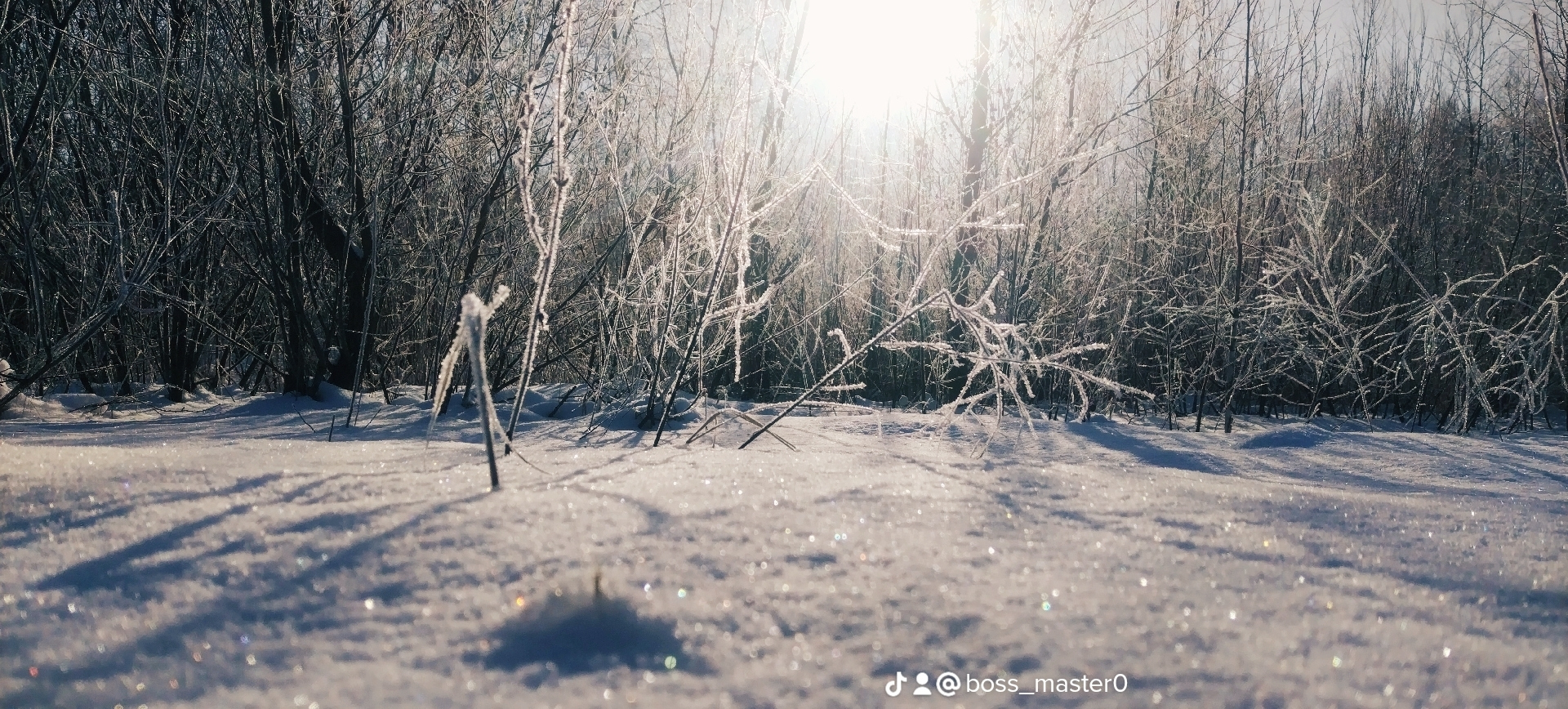 Зимний вечер | Фотограф Александр Мельниченко | foto.by фото.бай