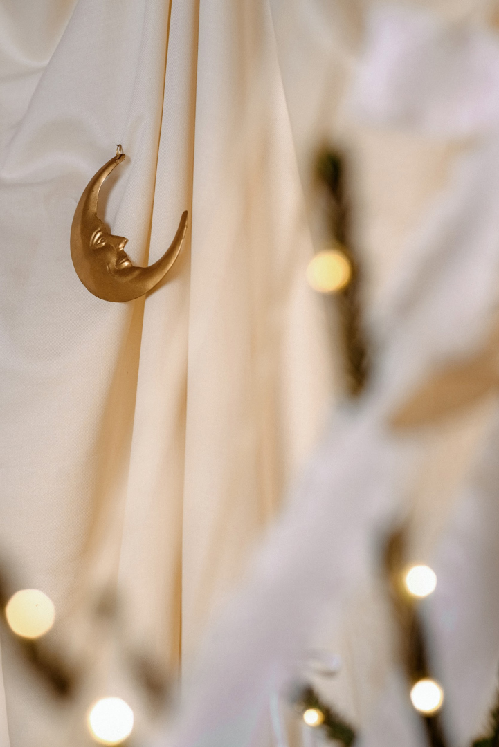 Фотограф Екатерина Шведова, фотография от 09.11.2025