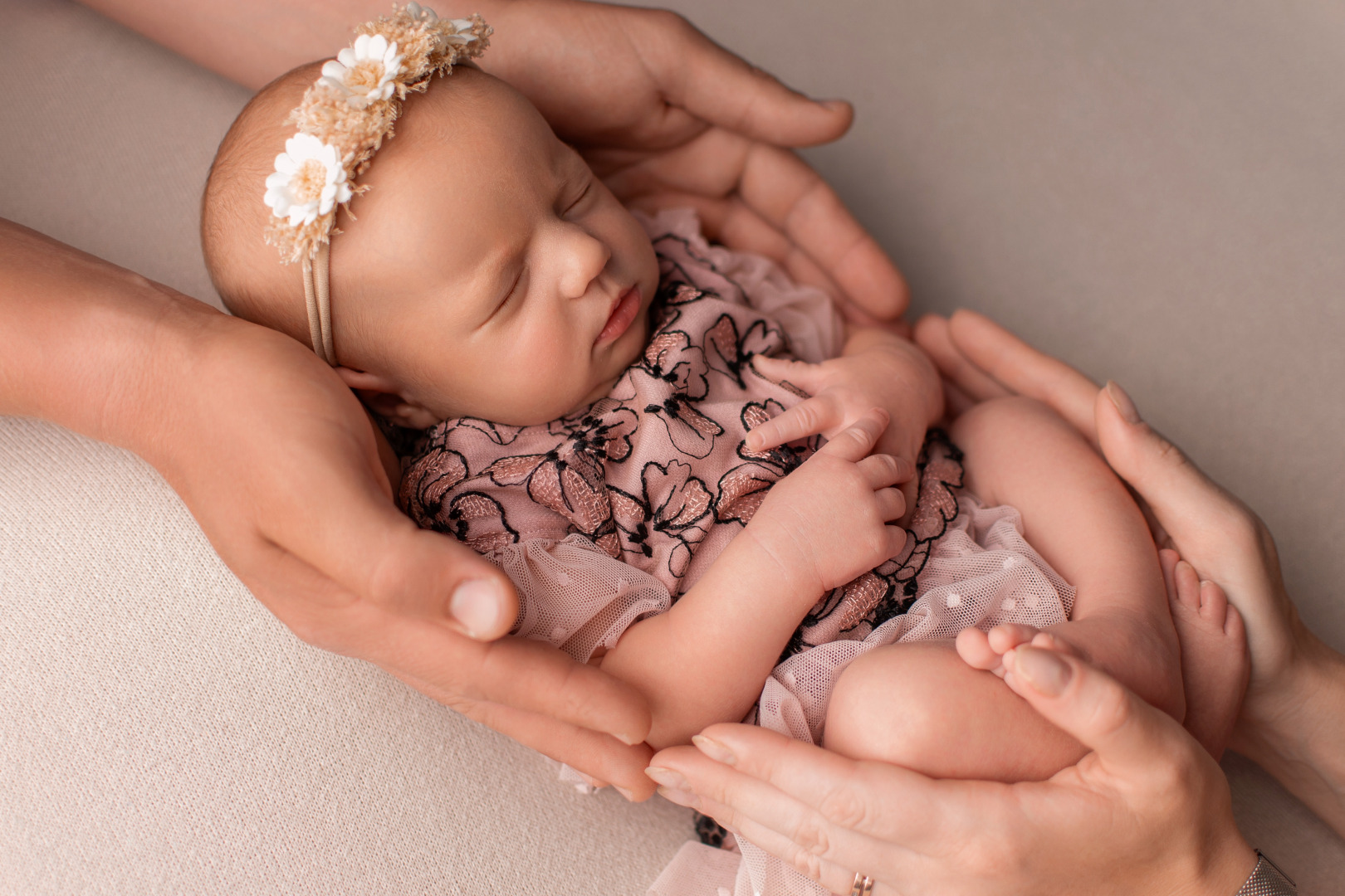 Фотограф Ксения Давыдова, фотография от 29.01.2026