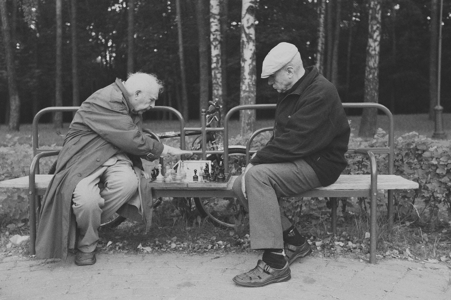 Вам шах и мат сударь... | Фотограф Денис Макаров | foto.by фото.бай