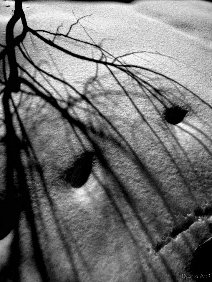 лик зимы | Фотограф Elenka Donbrova-Artmensk | foto.by фото.бай