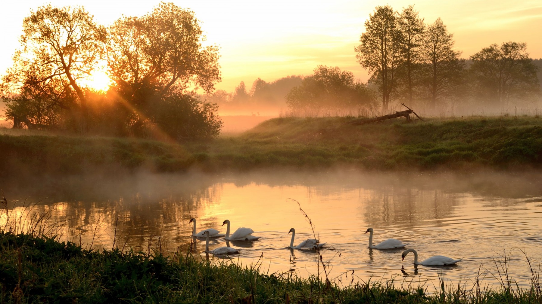 Раннее утро на природе. Утренний пейзаж деревня Герасимов. Река рассвет туман деревня. Деревенский пейзаж. Утро в деревне.