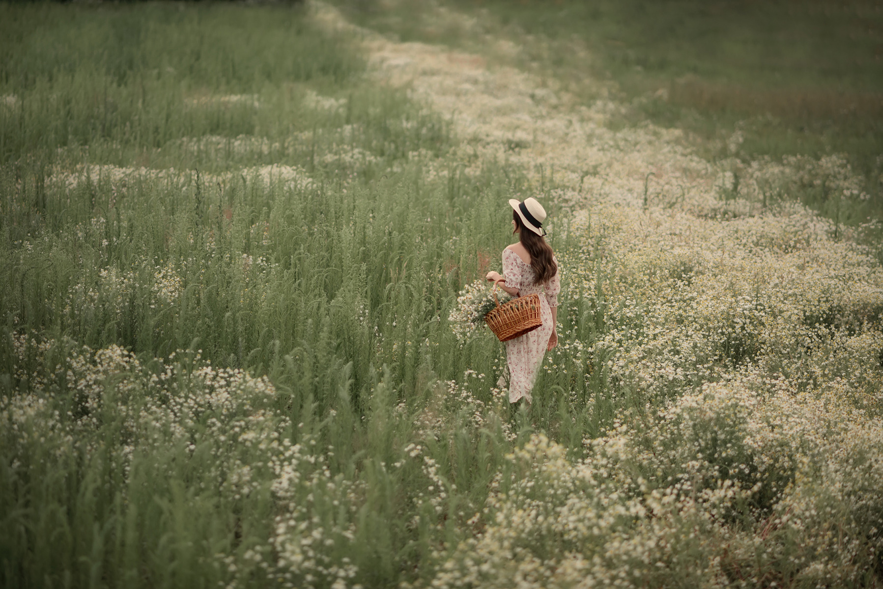 Я за деревню побегу. Девушка в поле. Фотосессия в поле. Девушка в поле фотосессия. Девушка с ромашками.