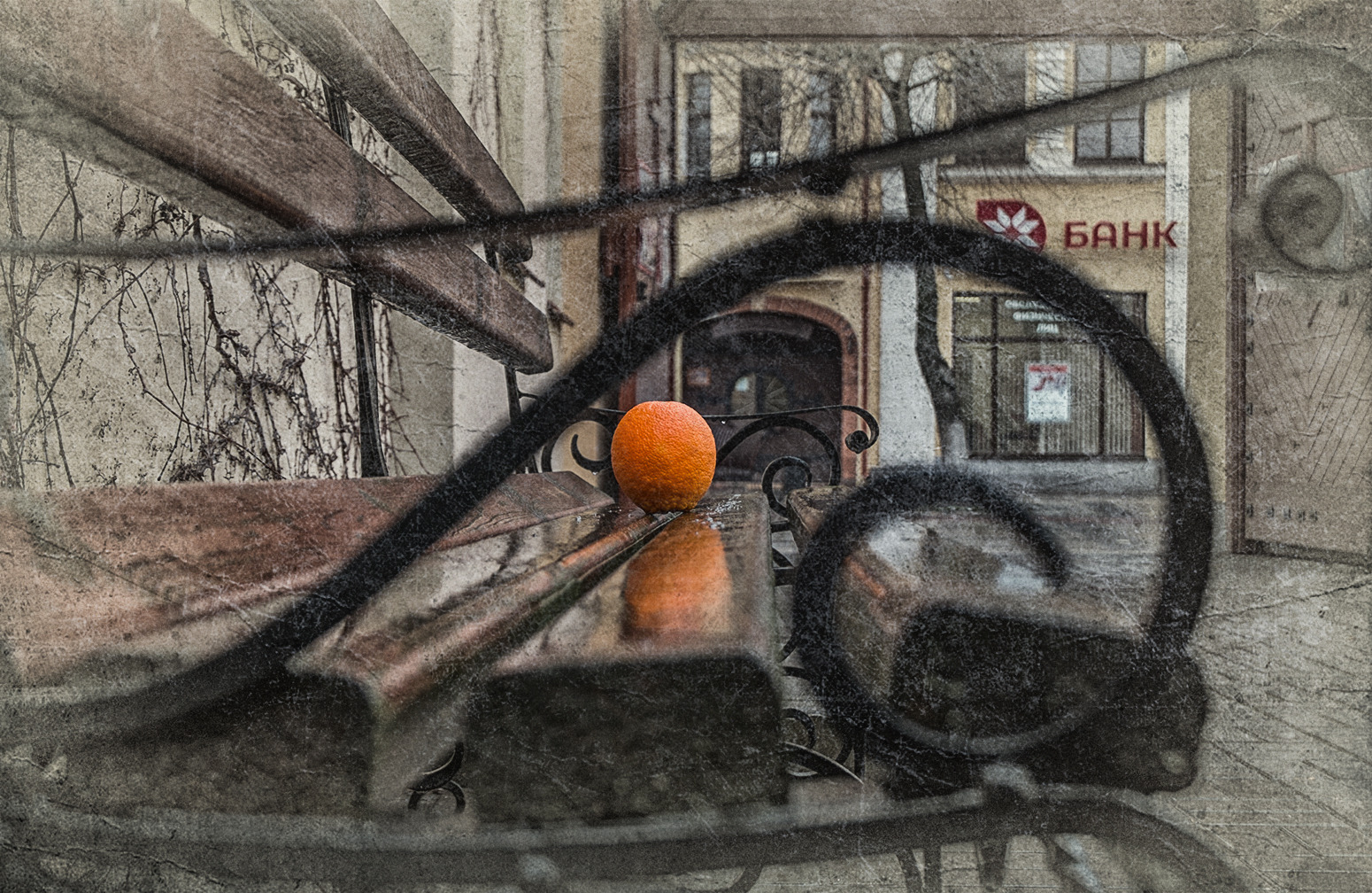 Арт апельсин | Фотограф Александр Шатохин | foto.by фото.бай