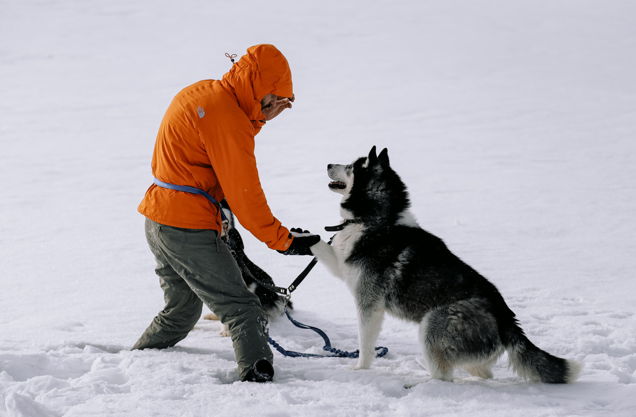 Фотограф в Минске - семейный, свадебный, репортажный фотограф. Фотосъёмка крещения, дня рождения, юбилея, венчания, корпоратива в Минске., фотография от 18.02.2026