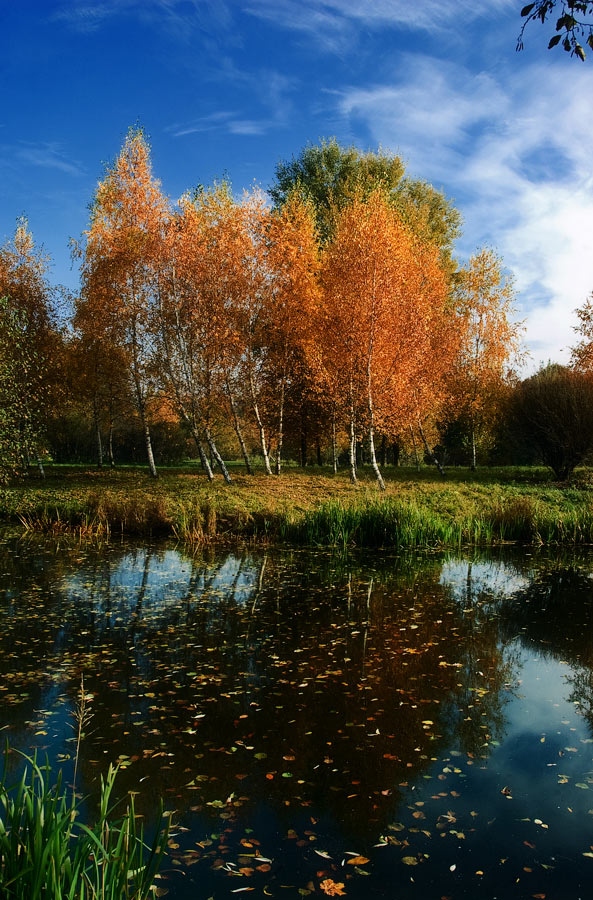 Осень | Фотограф Себастьян Перейра | foto.by фото.бай