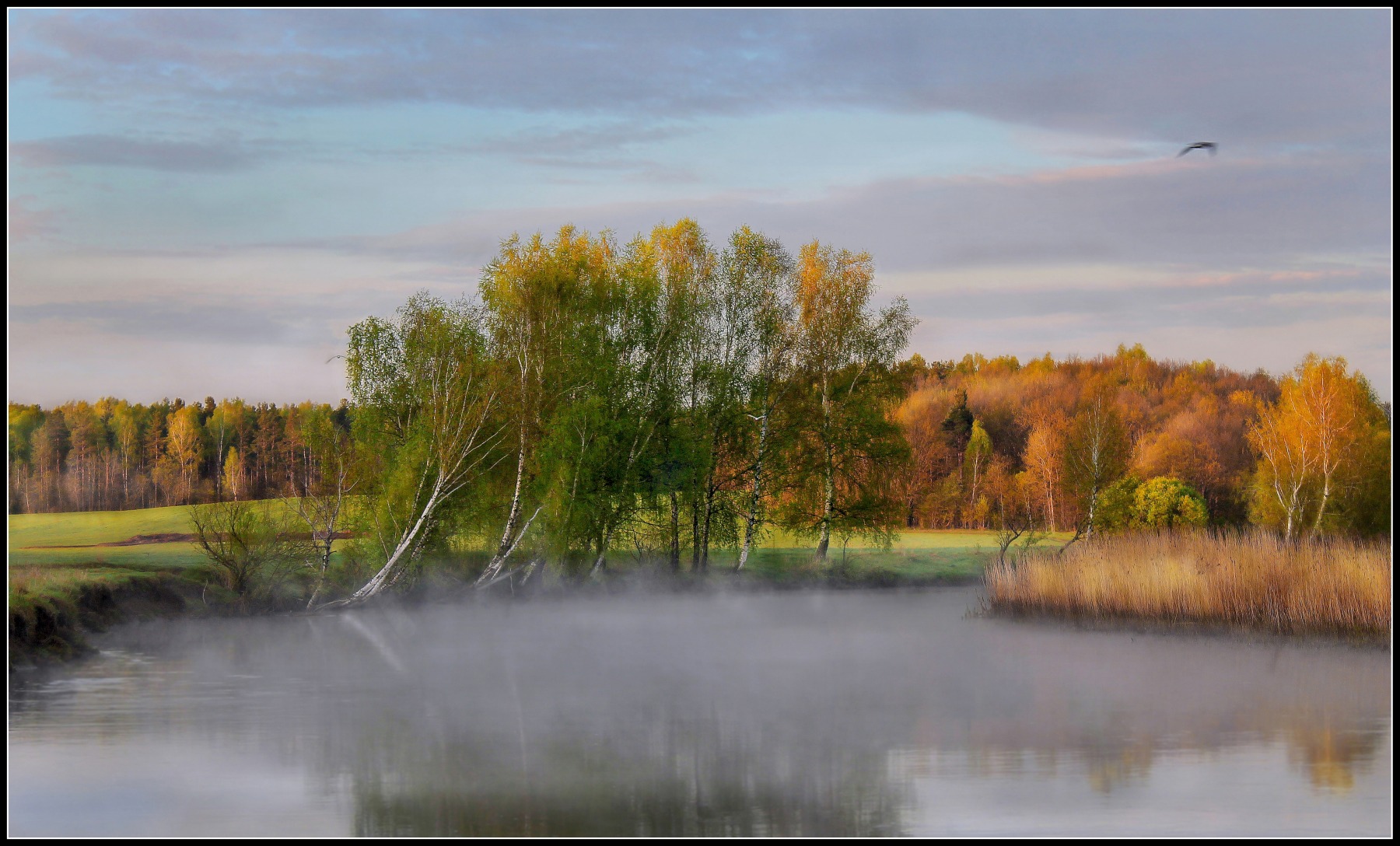 Утром на реке | Фотограф Сергей Шабуневич | foto.by фото.бай
