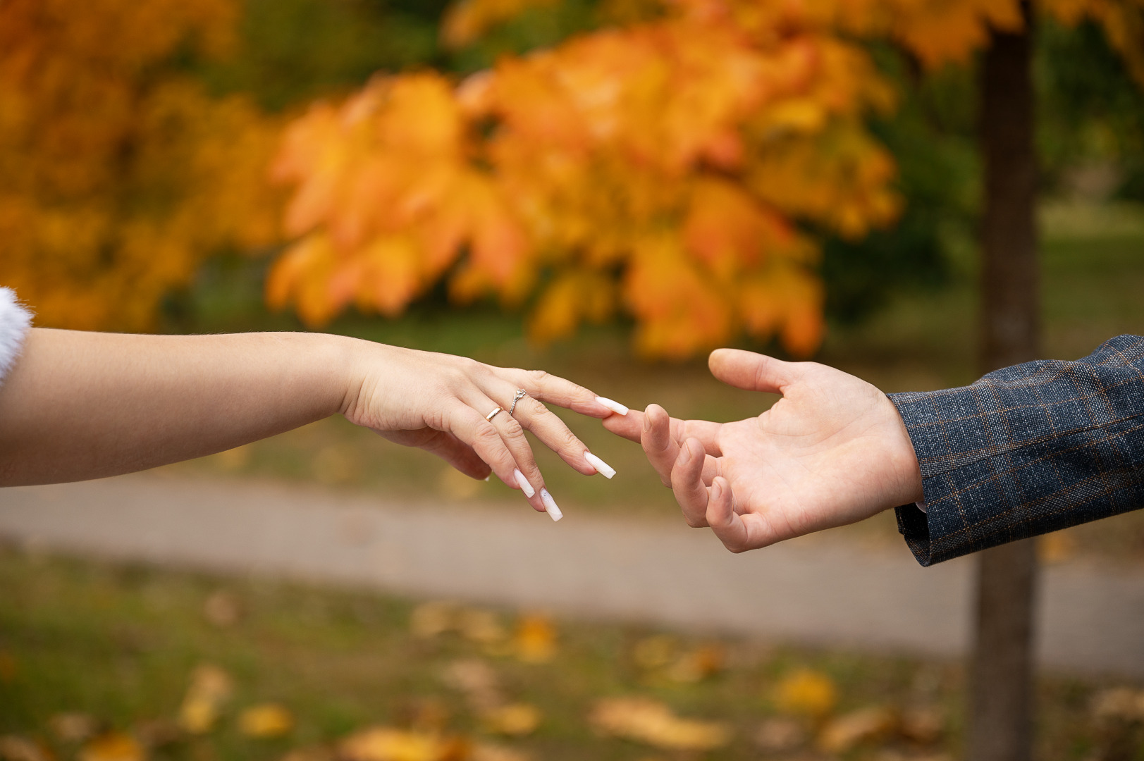 Фотограф Александра Еченко - фотограф для фотосъемки в городе Гомель, гомельской области и вся Беларусь., фотография от 28.10.2025