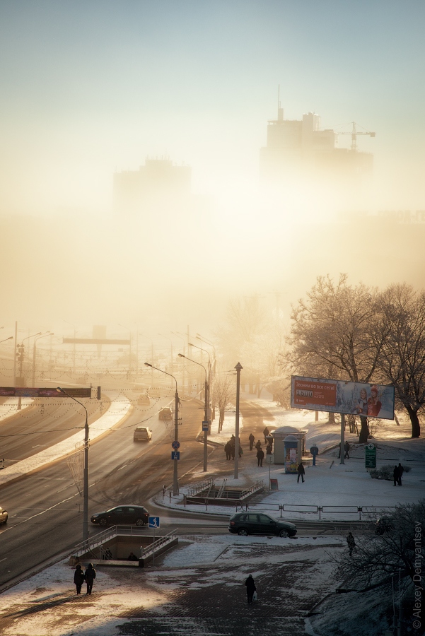 Морозное утро | Фотограф Aleksey Demiatncev | foto.by фото.бай