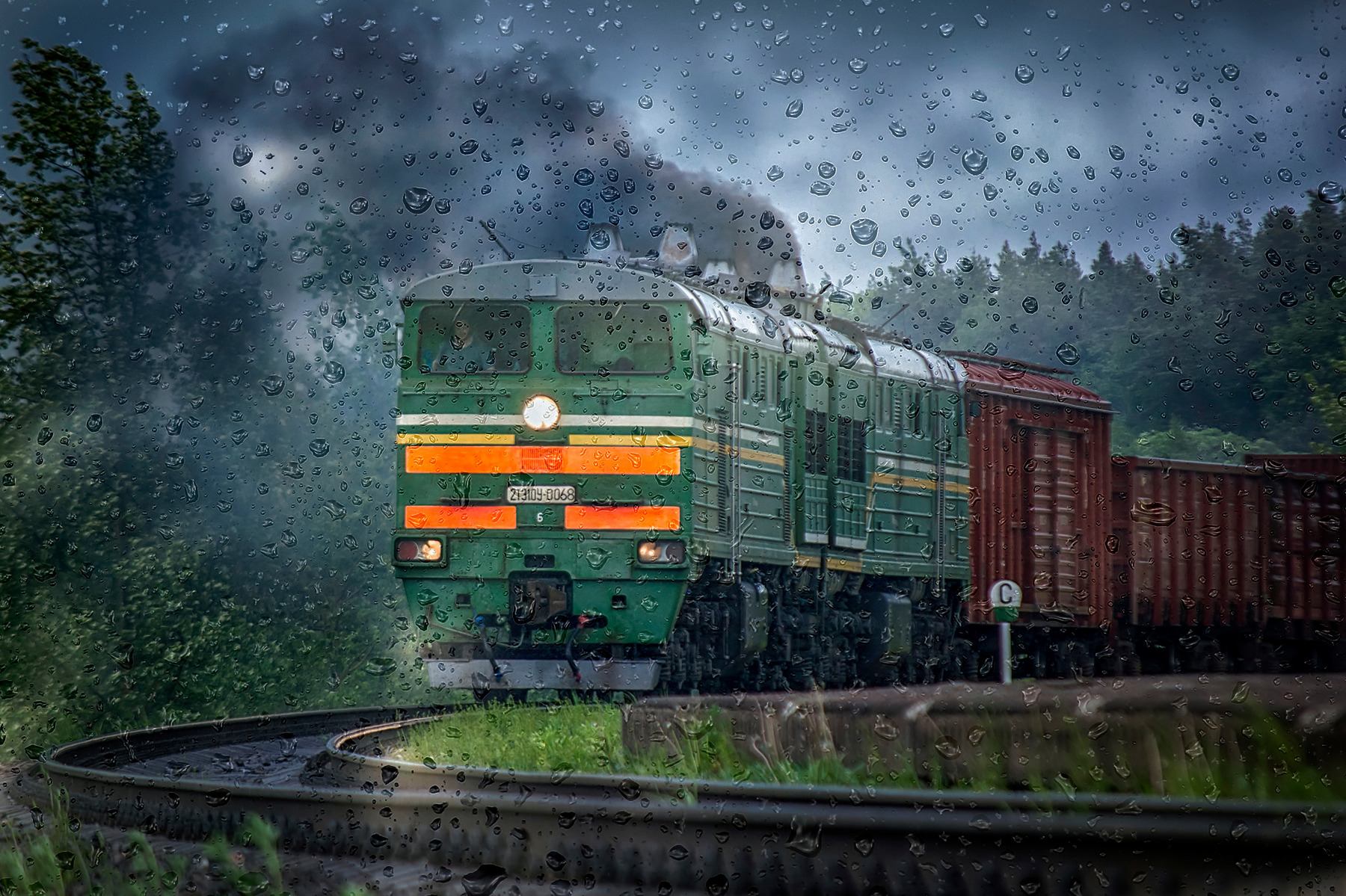 В дождь | Фотограф Алексей Румянцев | foto.by фото.бай