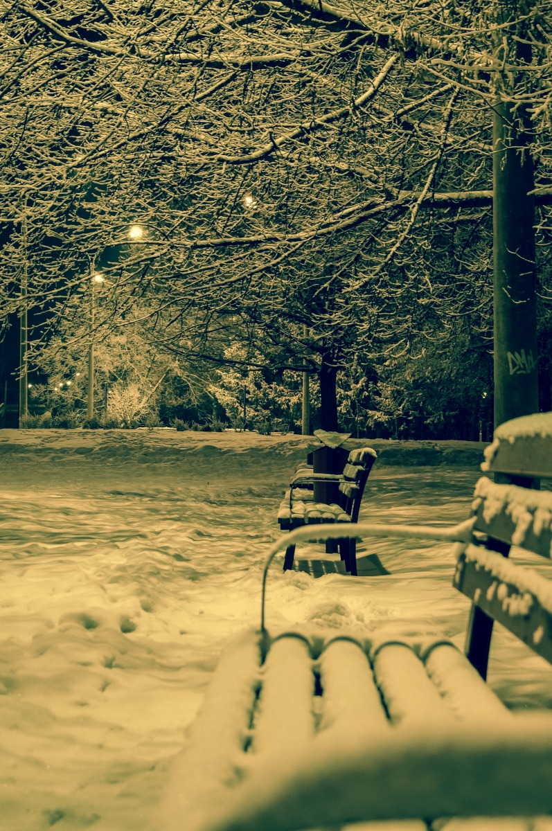 Зима | Фотограф Dzmitry | foto.by фото.бай