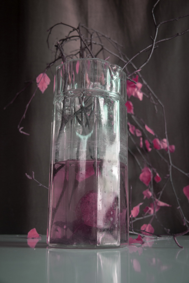 Фотограф Павел Есипенко, фотография от 02.01.2026